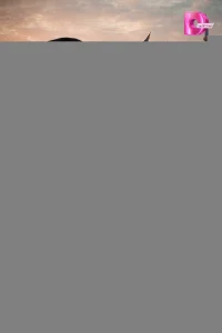 Счастье вперед